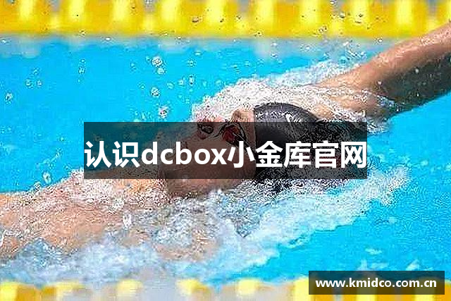 认识dcbox小金库官网